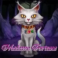 Madame FortuneCaleta game screenshot